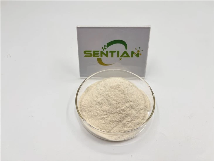 Glucoamylase
